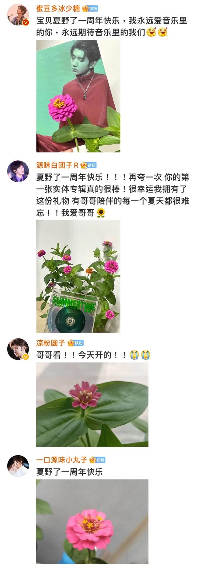 探花流出视频在线观看 王源的粉丝名应该叫什么，王源粉丝名称？