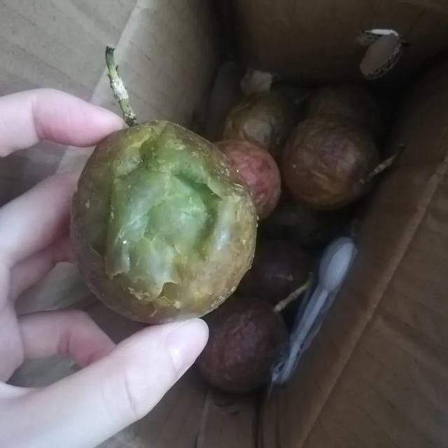 四虎免费在线观看白丝 拼多多水果便宜的原因是（拼多多水果便宜的原因是什么）