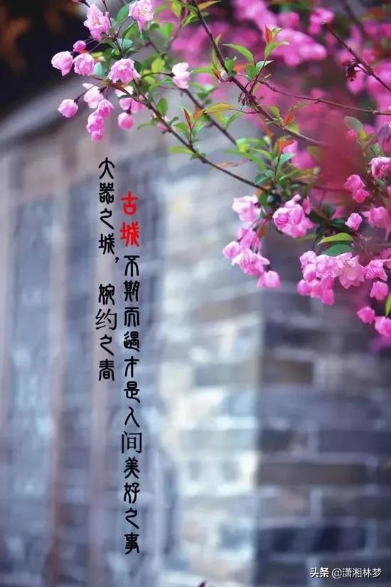 丝袜足交福利网址视频 怎样热门涨粉丝（快手如何快速涨粉上热门）