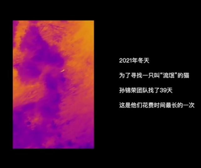 探花流出视频在线观看 悬赏猫赚钱是真的吗安全吗，悬赏猫赚钱是真的吗安全吗？