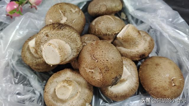 四虎免费在线观看白丝 龙口凉拌粉丝的做法，龙口粉丝能拌凉菜吗？