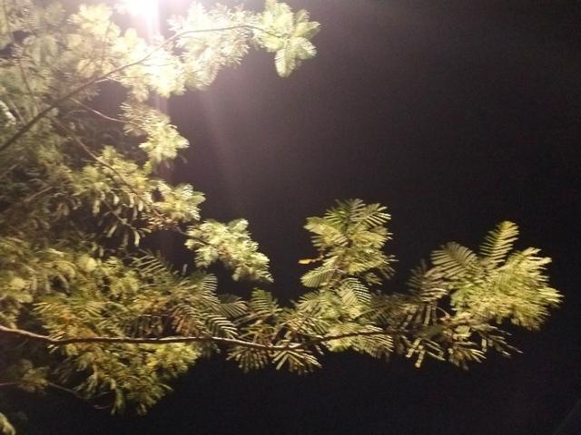 丝袜足交福利网址视频 培训流程的五个步骤pesos（培训流程的五个步骤是什么）