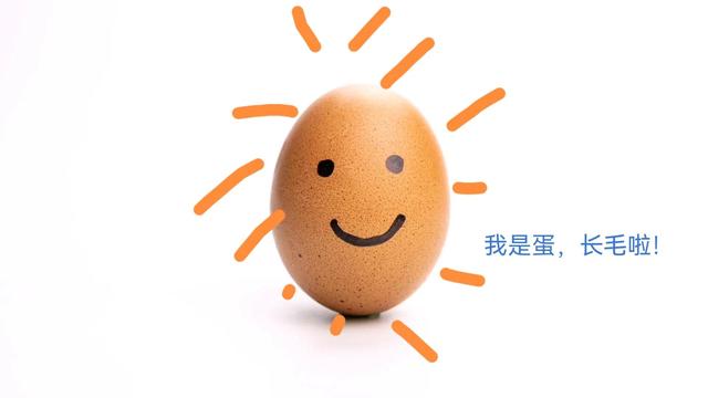 探花流出视频在线观看 什么小吃最挣钱还好学，现在学什么小吃赚钱？