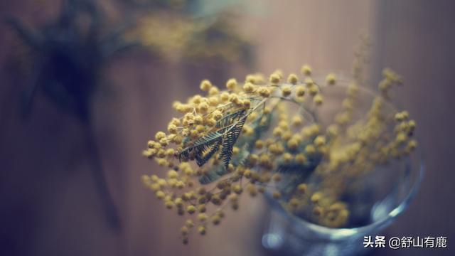 探花流出视频在线观看 桃花劫是情劫吗，桃花劫要挡,桃花债要还？