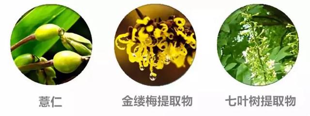 探花流出视频在线观看 韩医生专业祛痘皮肤管理中心（北京韩医生祛痘连锁机构）
