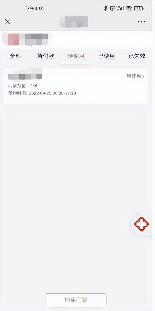 探花流出视频在线观看 小程序支付订单异常，买车票系统异常？