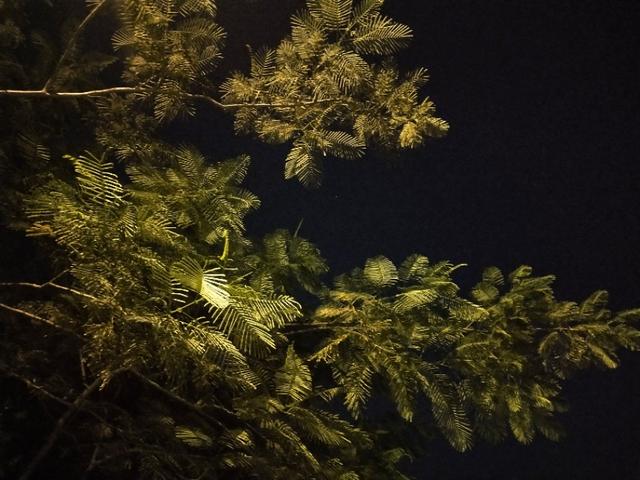 丝袜足交福利网址视频 培训流程的五个步骤pesos（培训流程的五个步骤是什么）