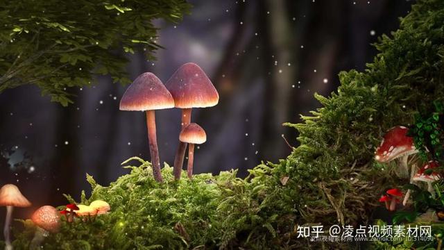 四虎免费在线观看白丝 抖音视频素材库网站免费，抖音视频素材库网站免费下载？
