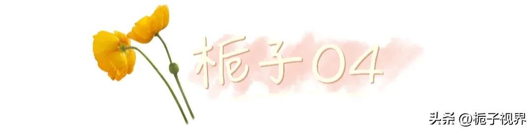 探花流出视频在线观看 安卓怎么发朋友圈纯文字，微信怎么发朋友圈纯文字？