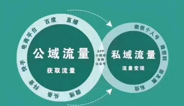 探花流出视频在线观看 新媒体代运营方案，个人IP代运营方案？