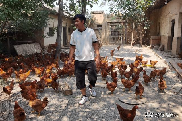 四虎免费在线观看白丝 养植什么动物最赚钱呢知乎，养植什么动物最赚钱呢图片？