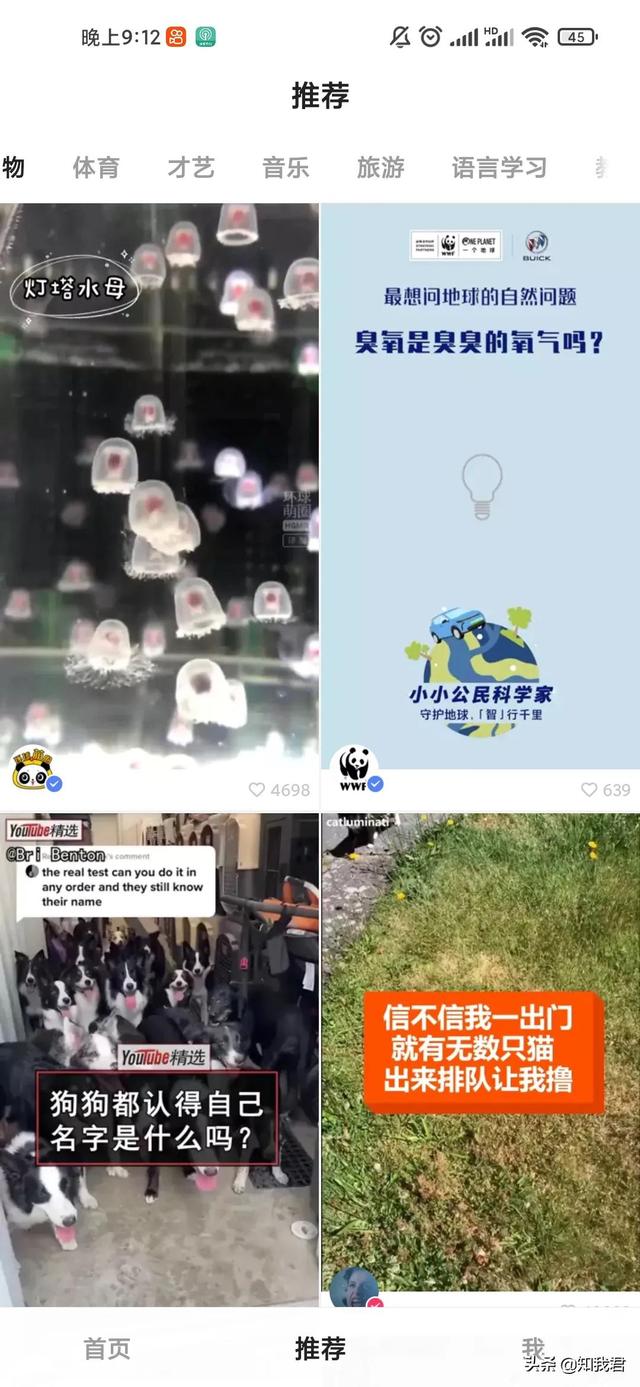 丝袜足交福利网址视频 新浪微博视频号入口（微博视频号的视频管理在哪）