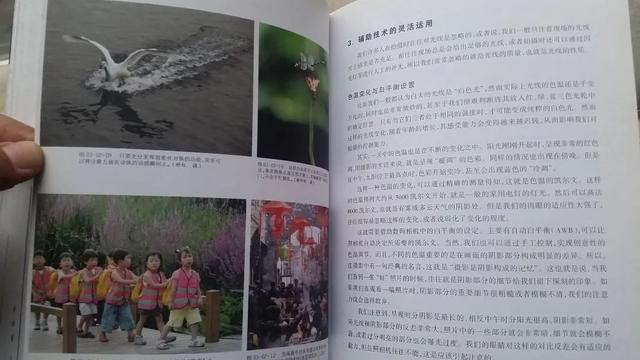 四虎免费在线观看白丝 自学摄影可以考什么证（自学摄影师怎么考证）