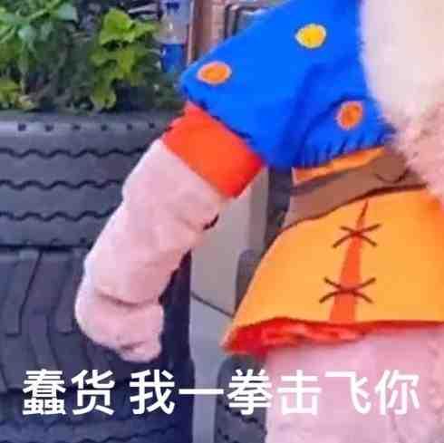 探花流出视频在线观看 龟龟是哪个明星的粉丝名（龟龟是谁家粉丝）