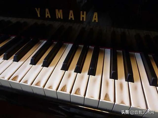 四虎免费在线观看白丝 世界钢琴家排名前十位2020（世界钢琴家排名前十位2019）