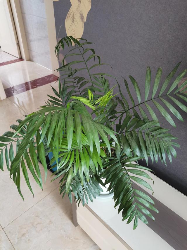 丝袜足交福利网址视频 急得直哭仿写词语玩得什么（急得直哭仿写词语第一个字是急的）