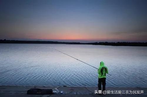 丝袜足交福利网址视频 农业致富好项目，农村养殖致富？
