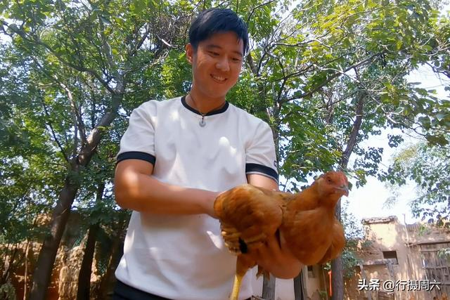 四虎免费在线观看白丝 养植什么动物最赚钱呢知乎，养植什么动物最赚钱呢图片？