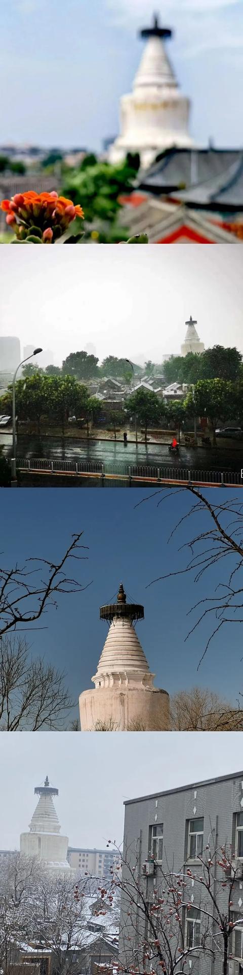 丝袜足交福利网址视频 抖音果果，抖音果果妈？