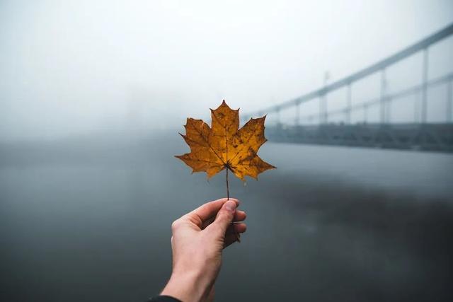 探花流出视频在线观看 普通人做自媒体能赚钱吗，自媒体不挣钱？