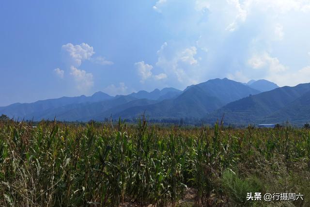 四虎免费在线观看白丝 养植什么动物最赚钱呢知乎，养植什么动物最赚钱呢图片？
