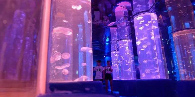 探花流出视频在线观看 最新室内儿童娱乐项目（青少年室内娱乐项目）