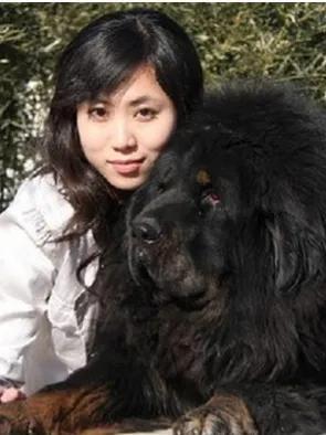 探花流出视频在线观看 世界最贵藏獒三个亿（世界藏獒最高成交价）