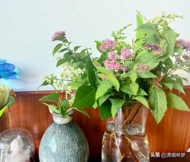 丝袜足交福利网址视频 怎样热门涨粉丝（快手如何快速涨粉上热门）