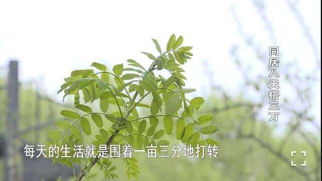 探花流出视频在线观看 秋香神马影院（秋香影院免费高清视频）