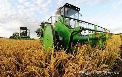 探花流出视频在线观看 政府补贴项目查询2020，政府补贴项目查询2020情况？