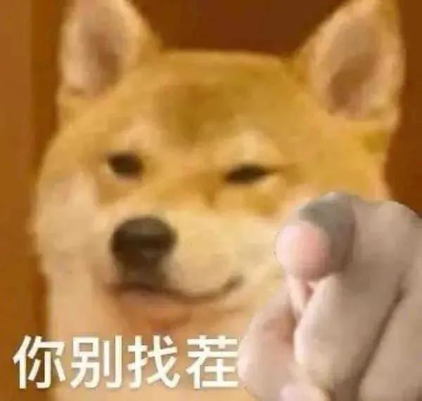 探花流出视频在线观看 马嘉祺的粉丝叫什么，马嘉祺粉丝名,应援色和口号？