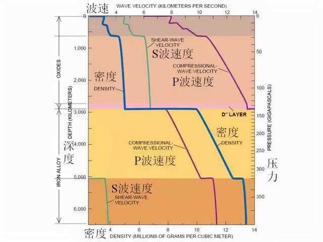 探花流出视频在线观看 学校体检是做哪些项目，学校体检都做什么？