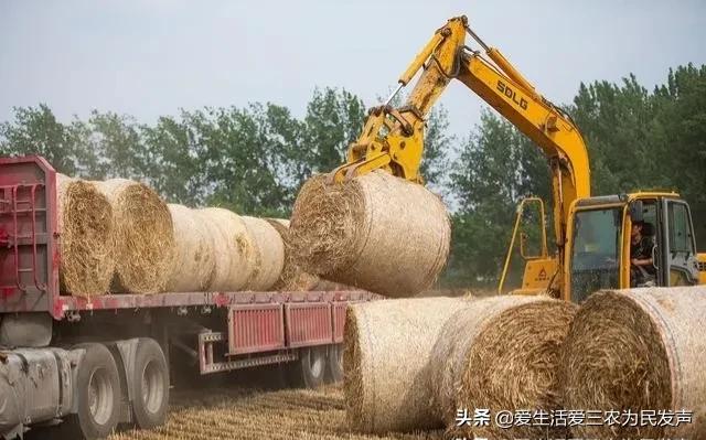 探花流出视频在线观看 政府补贴项目查询2020，政府补贴项目查询2020情况？