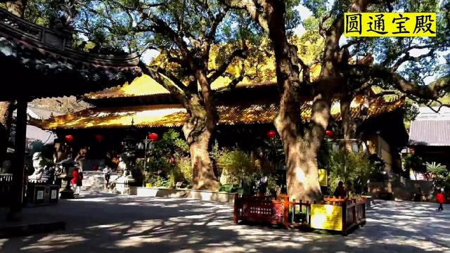 丝袜足交福利网址视频 普陀山在哪里哪个省份哪个市（普陀山在哪个省哪个市）