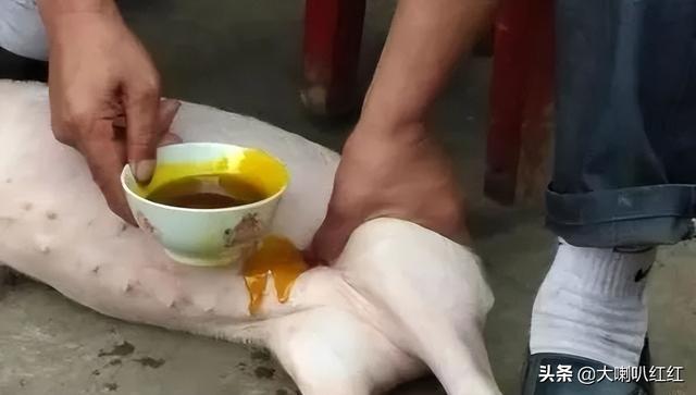 四虎免费在线观看白丝 猪睾丸怎么做好吃视频（猪睾丸怎么做好吃法大全）