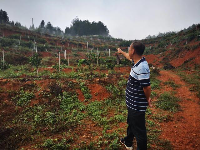 探花流出视频在线观看 怎么找投资人（自己有项目怎么找投资人）