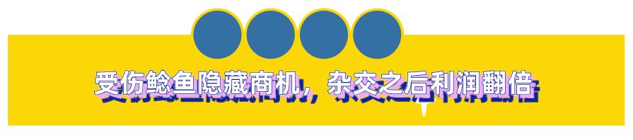 丝袜足交福利网址视频 闲鱼鱼塘在哪里找（2021闲鱼鱼塘在哪里找）