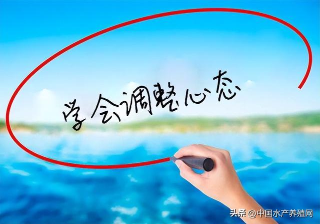 丝袜足交福利网址视频 养殖黄骨鱼挣钱吗，黄骨鱼养殖利润？
