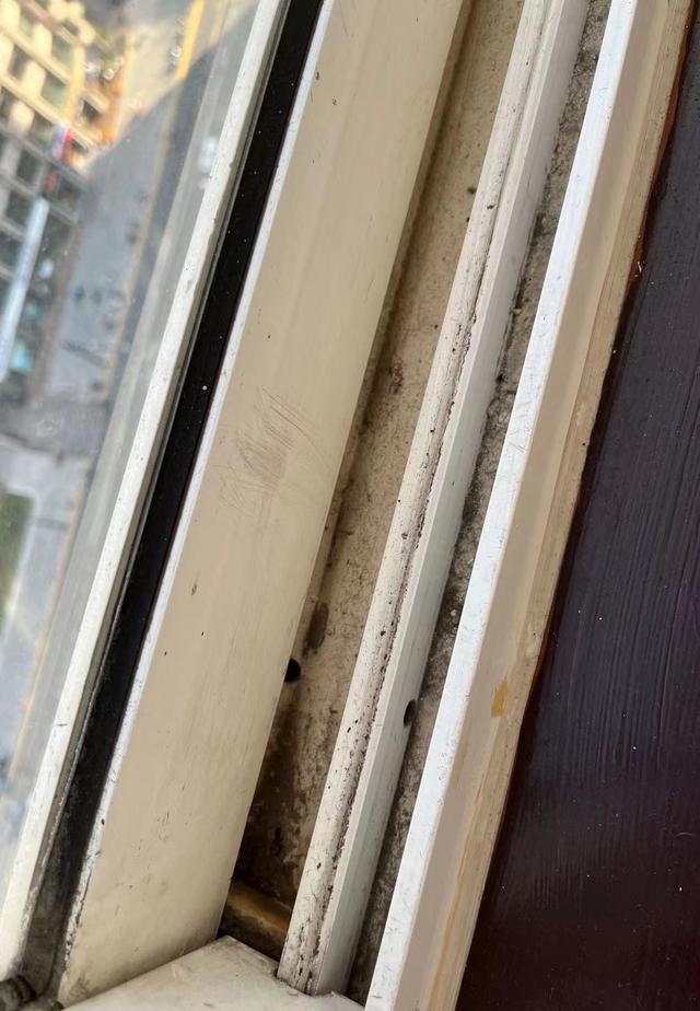 四虎免费在线观看白丝 请保姆哪个平台比较好一点（请保姆哪个平台比较好找）