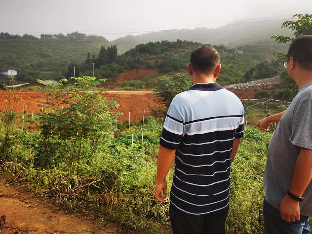 探花流出视频在线观看 怎么找投资人（自己有项目怎么找投资人）