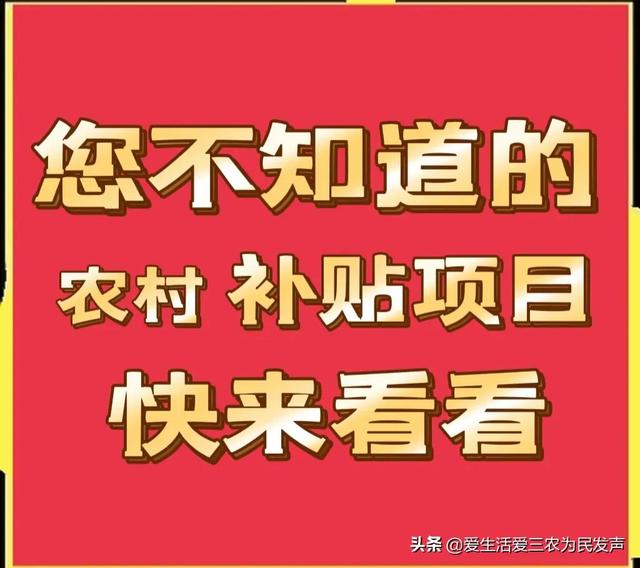 探花流出视频在线观看 政府补贴项目查询2020，政府补贴项目查询2020情况？