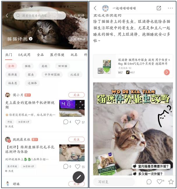 丝袜足交福利网址视频 宠物店创业ppt模板免费，宠物店创业计划书市场营销计划？