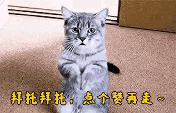 探花流出视频在线观看 抖音很火的生日祝福语老公，抖音很火的生日祝福语女儿？