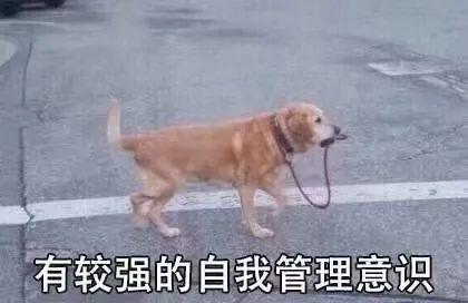 四虎免费在线观看白丝 匡威舌头总跑偏怎么系鞋带（匡威舌头总跑偏怎么解决办法）
