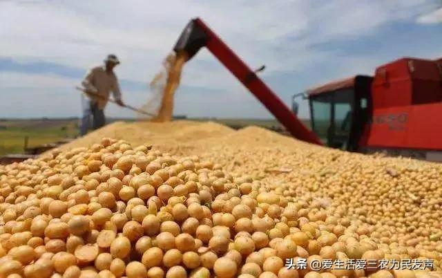 探花流出视频在线观看 政府补贴项目查询2020，政府补贴项目查询2020情况？