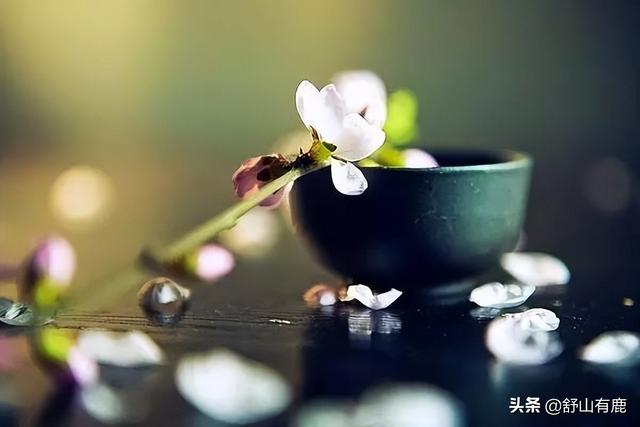 探花流出视频在线观看 桃花劫是情劫吗，桃花劫要挡,桃花债要还？