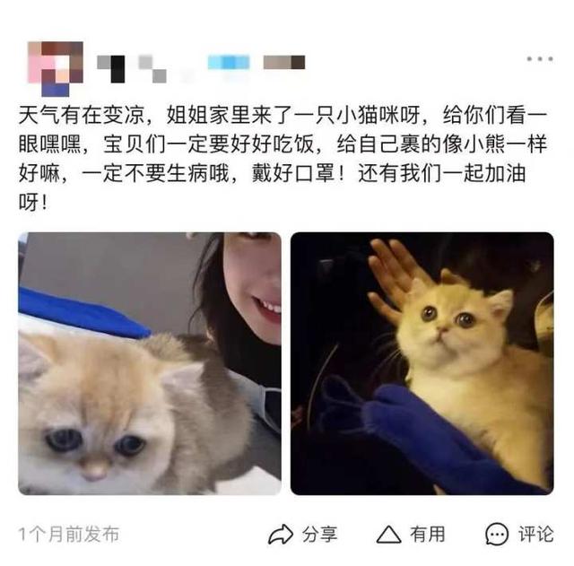 探花流出视频在线观看 免费网店取名，网店取名字大全免费？