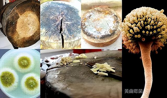 丝袜足交福利网址视频 好物取名字大全（推荐好物可以用什么名字）