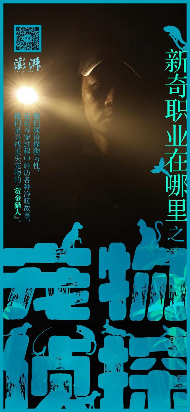 探花流出视频在线观看 悬赏猫赚钱是真的吗安全吗，悬赏猫赚钱是真的吗安全吗？