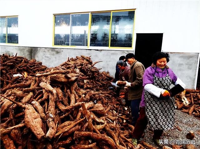 四虎免费在线观看白丝 走投无路了找快速赚钱路子2020（走投无路了怎么快速赚钱）